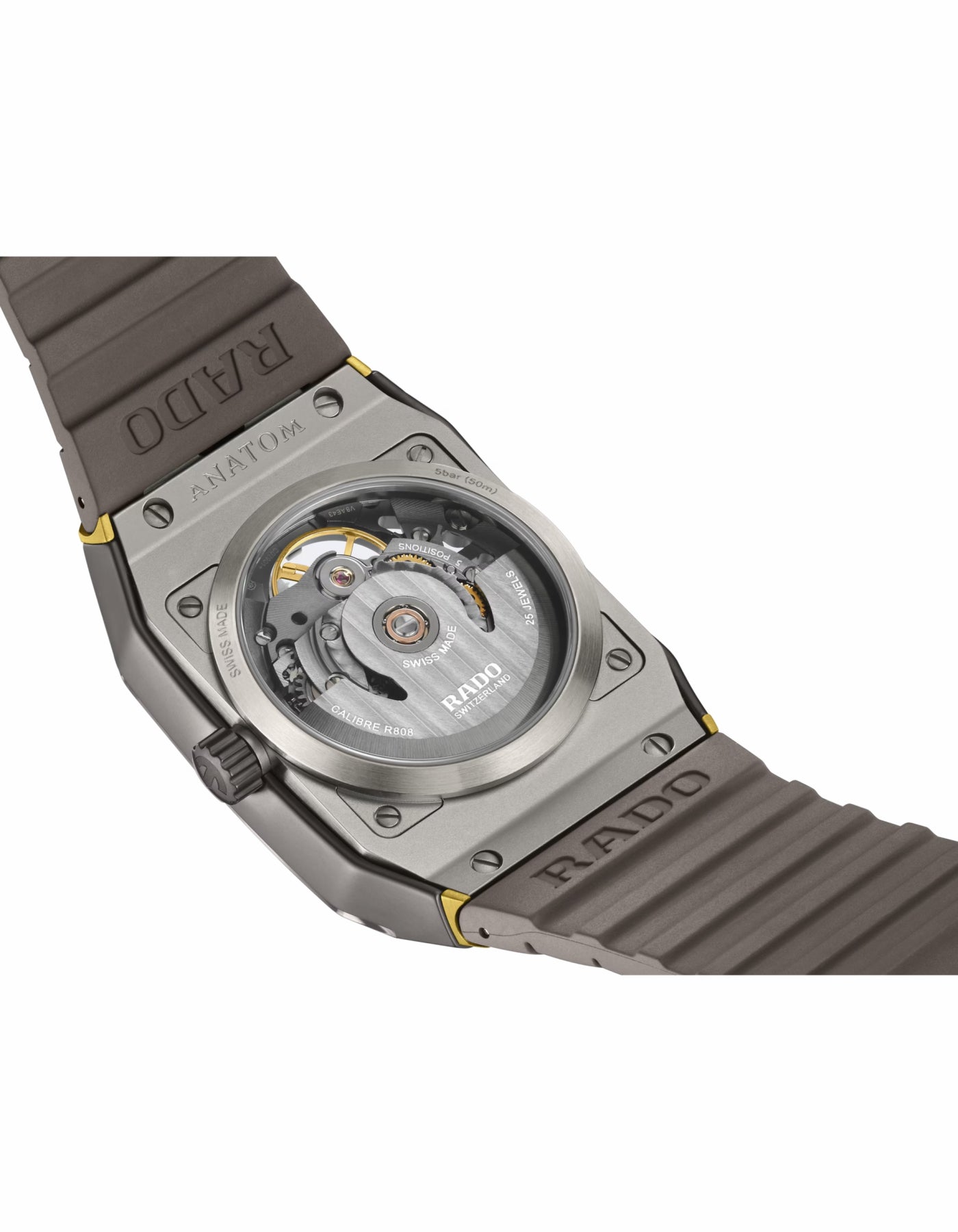 Anatom Automatic Skeleton