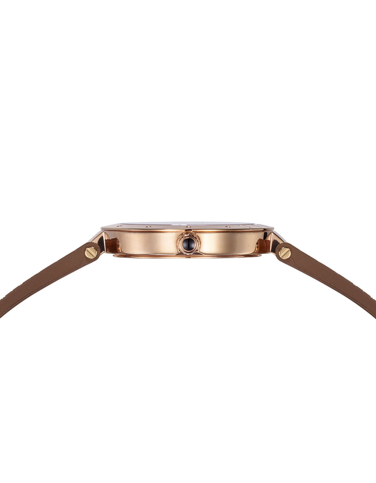 Balmainia Bijou