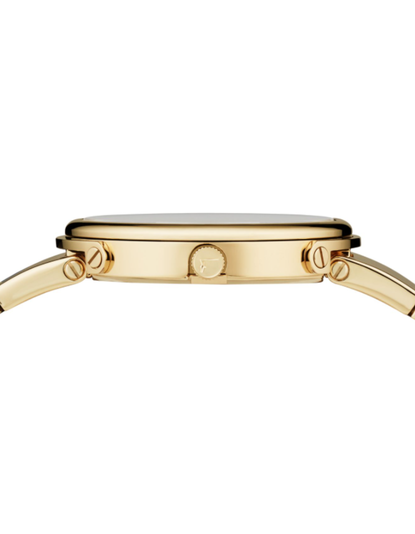 Salvatore Ferragamo Women's Logomania