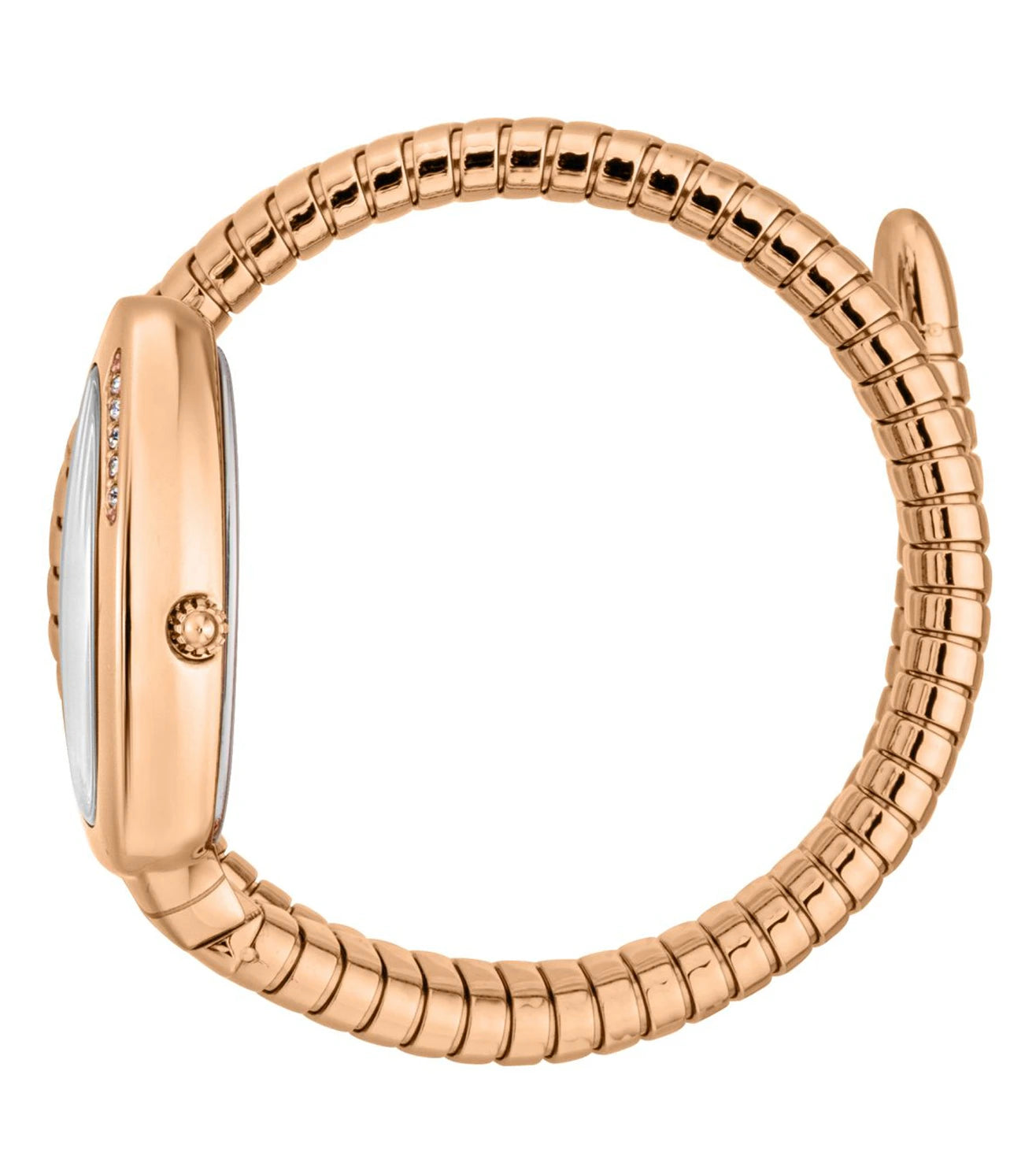 Just Cavalli Serpente Logo