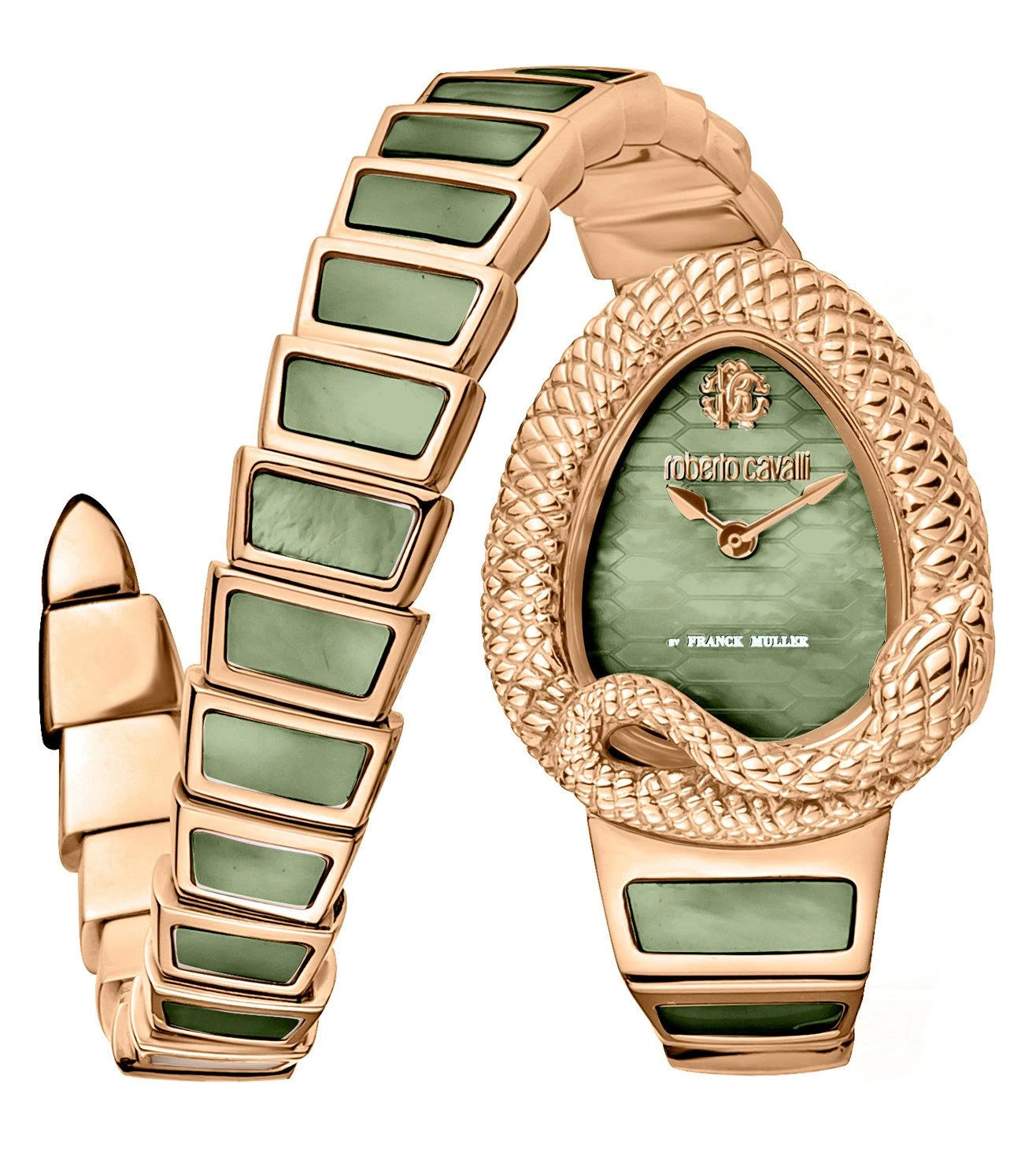Roberto cavalli franck muller watch price hotsell