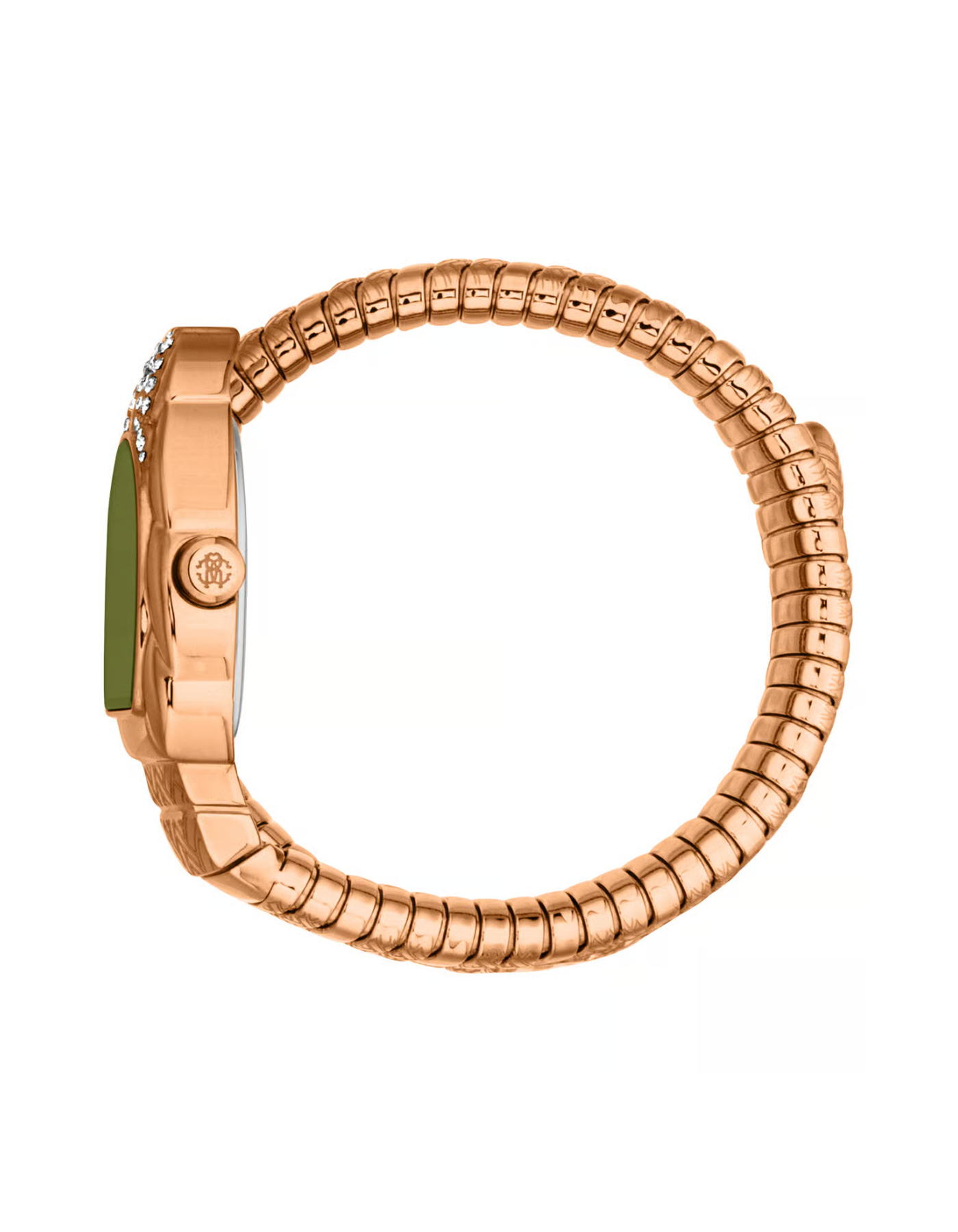 Roberto Cavalli Aurora