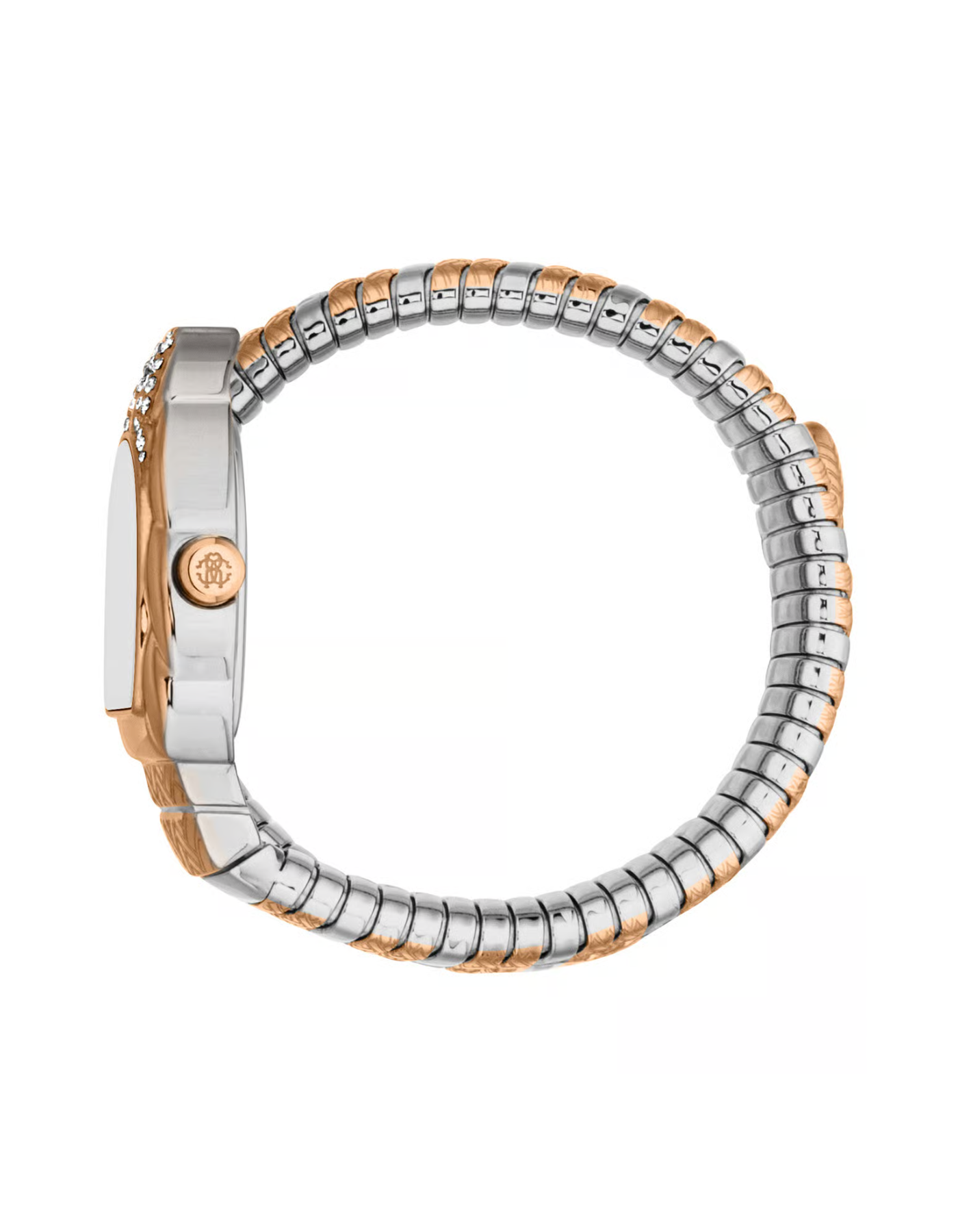 Roberto Cavalli Aurora