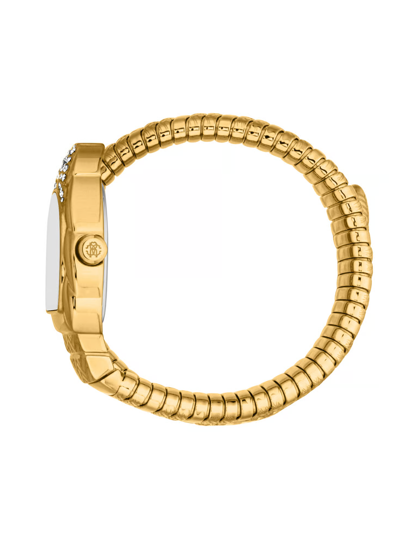 Roberto Cavalli Aurora