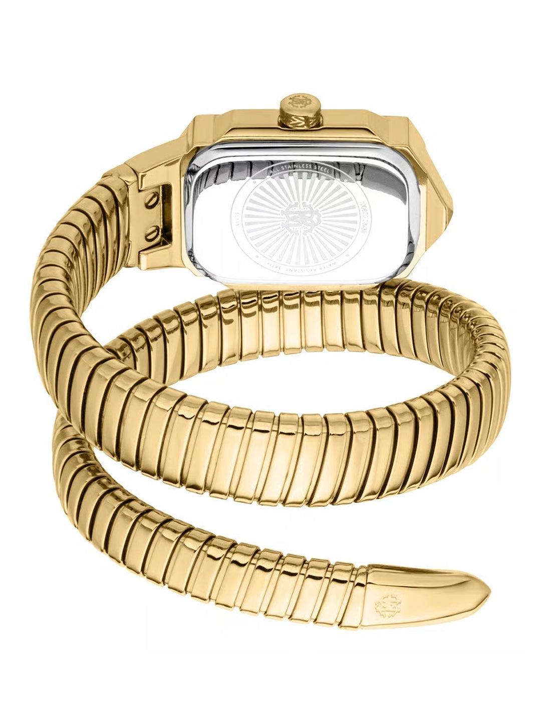 Roberto Cavalli Vera