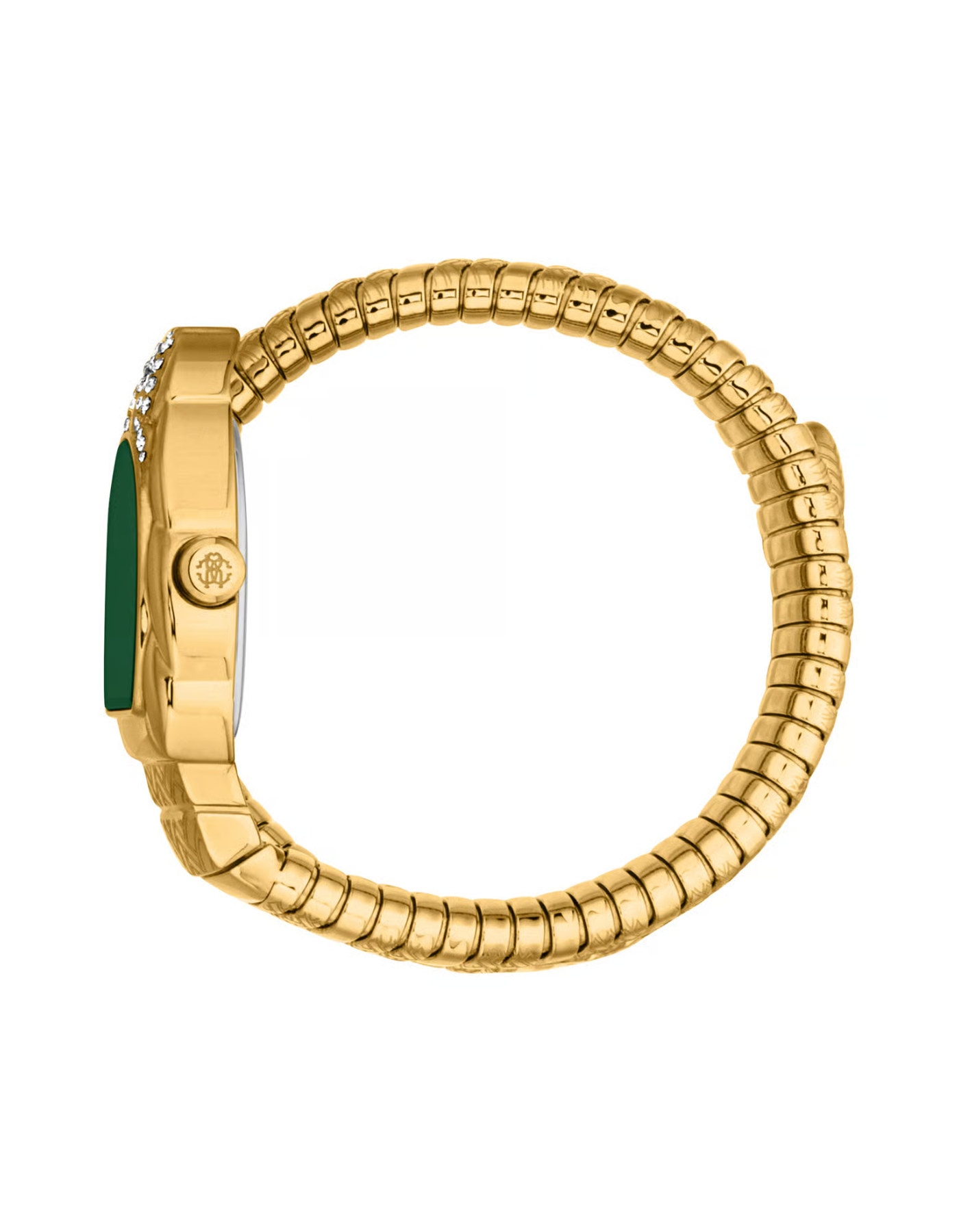 Roberto Cavalli Aurora