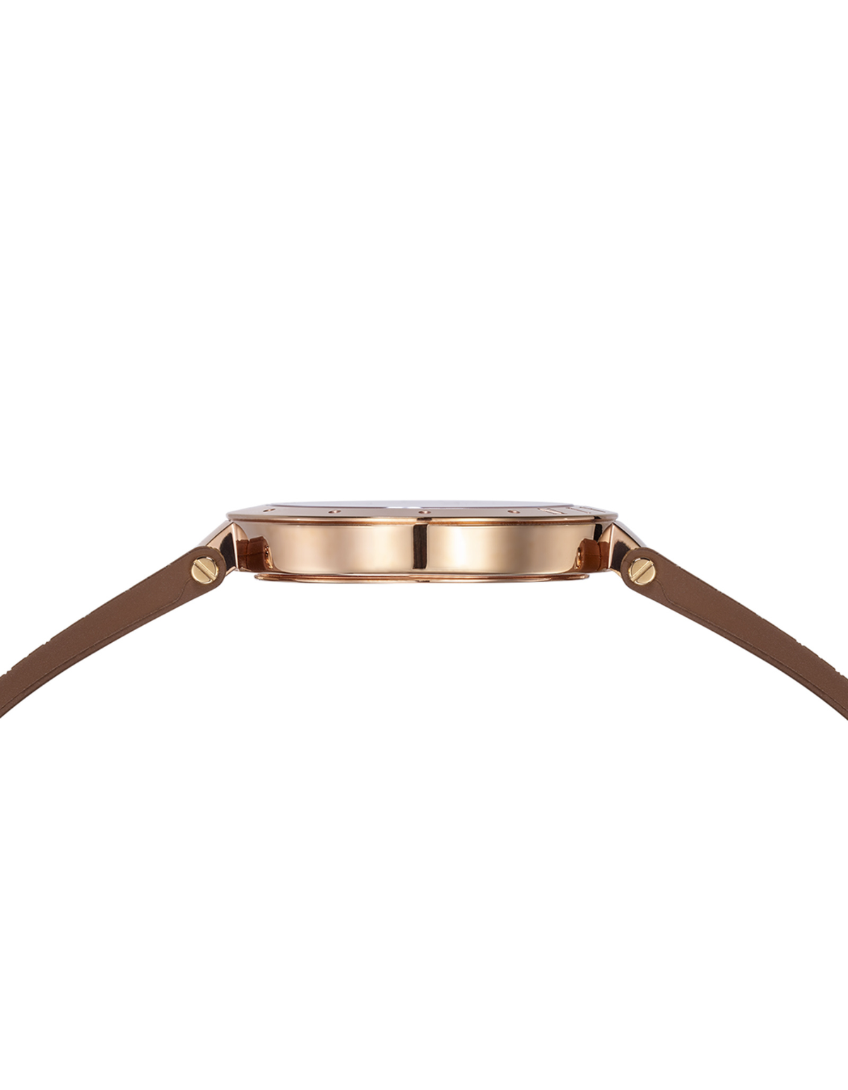 Balmainia Bijou