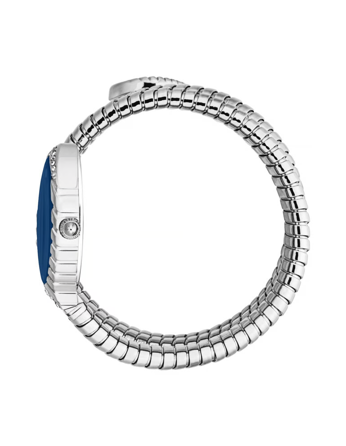 Just Cavalli Specchio Snake
