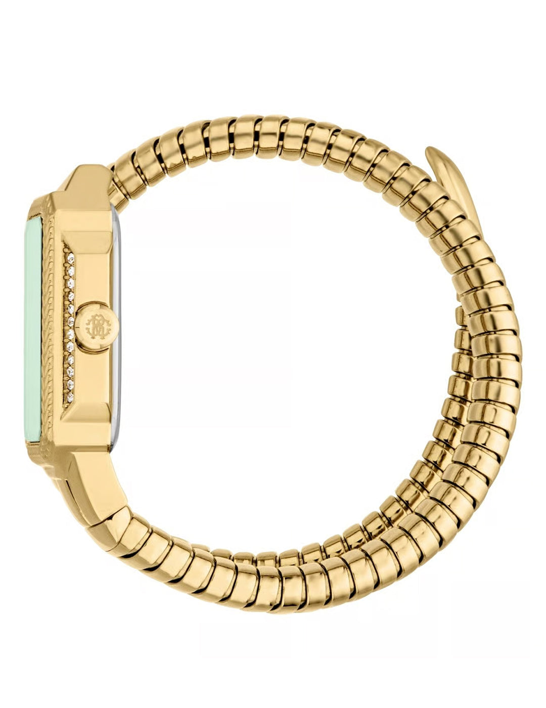 Roberto Cavalli Vera