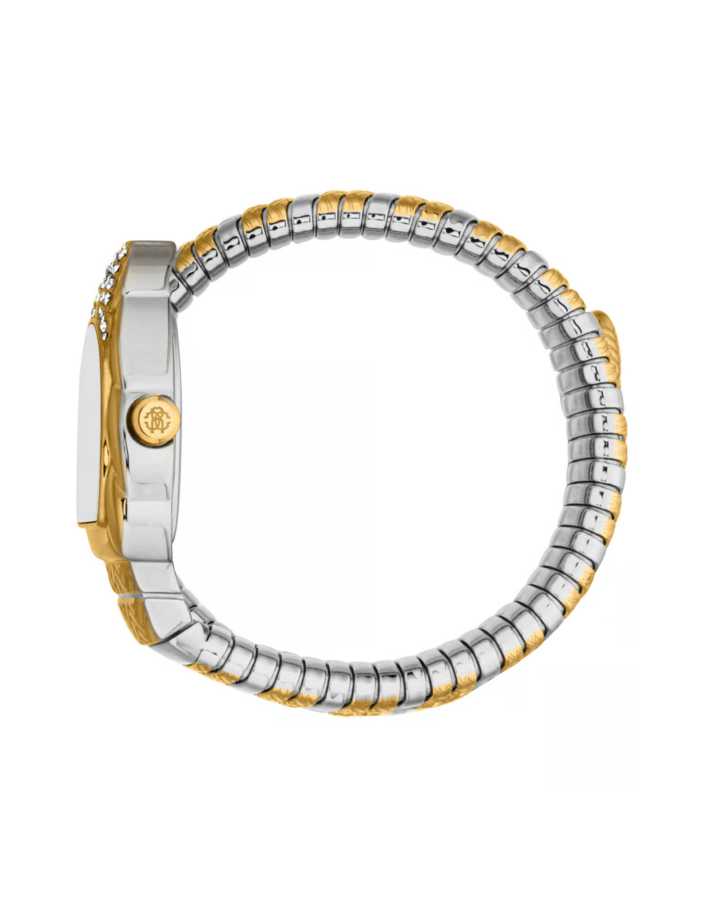 Roberto Cavalli Aurora